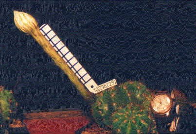 24a93140