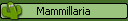 Mammillaria