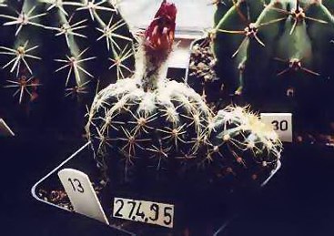 2f56f030