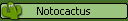Notocactus