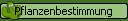 Pflanzenbestimmung