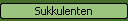 Sukkulenten